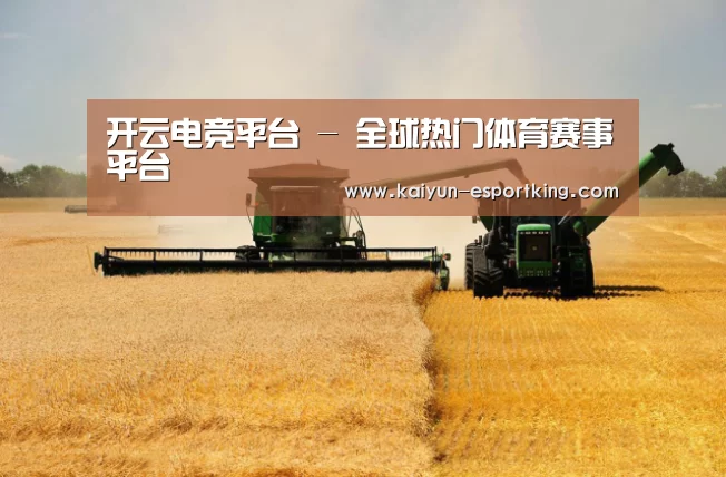 产品名称八(图1)