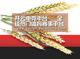开云电竞平台 - 全球热门体育赛事平台