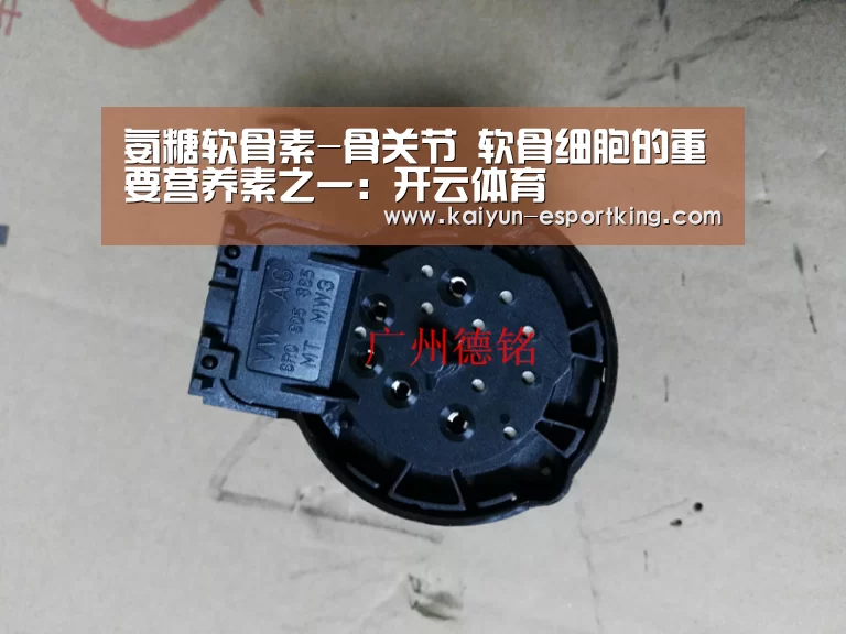 氨糖软骨素-骨关节 软骨细胞的重要营养素之一:开云体育(图2) 开云足球