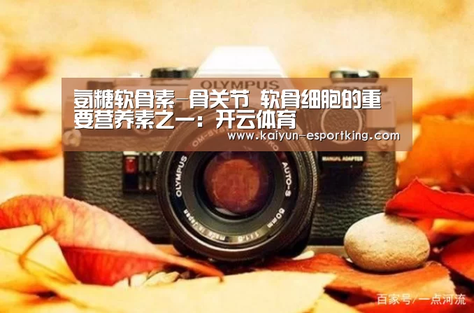 氨糖软骨素-骨关节 软骨细胞的重要营养素之一:开云体育(图3) 开云篮球