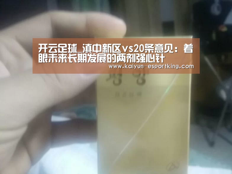 开云足球_滇中新区vs20条意见:着眼未来长期发展的两剂强心针(图2) 开云赛事
