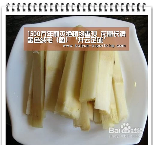 开云赛事
